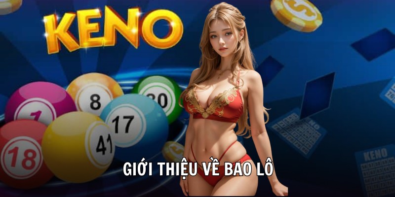 Giới thiệu về bao lô